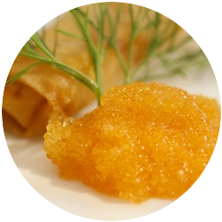 Lake Herring/Cisco Roe