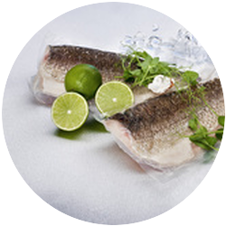 IQF Whitefish Fillets